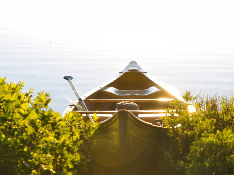 sudoku championship screenshot 1